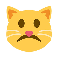 frowningcat