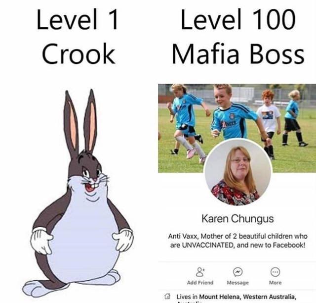 Level 1 Level 100 CrookMafia Boss Karen Chungus Anti Vaxx, Mother of 2 beautiful children who are UNVACCINATED, and new to Facebook! O. Add Friend Message More C Lives in Mount Helena, Western Australia, mammal vertebrate text rabits and hares fauna rabbit